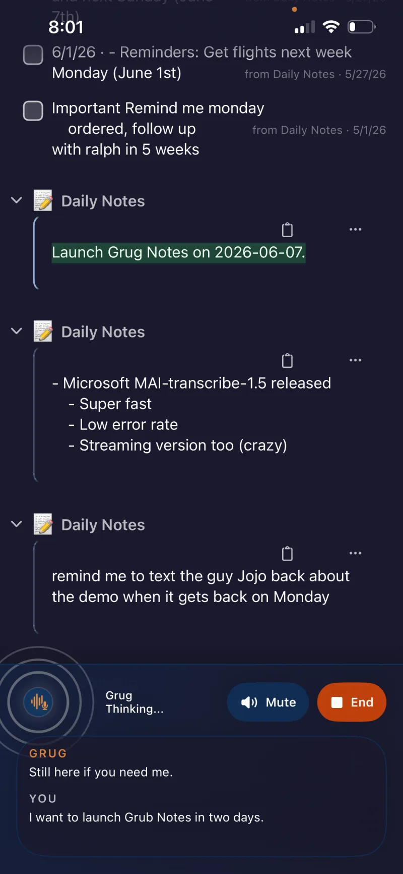 Grug Notes for iPhone showing Daily Notes and live voice mode
